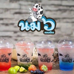 นม๖ดอนเมือง ดอนเมือง