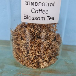 6.ชาดอกกาแฟ