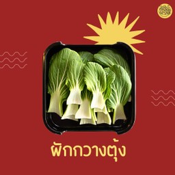 ผักกวางตุ้ง