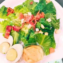 ซีซ่า  สลัด