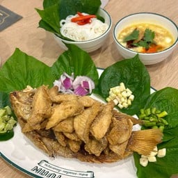 Laoyuan เซ็นทรัลเฟสติวัล พัทยา บีช