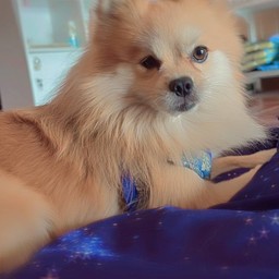 ทิปเด็กเอ็นท์น้องลูก้า