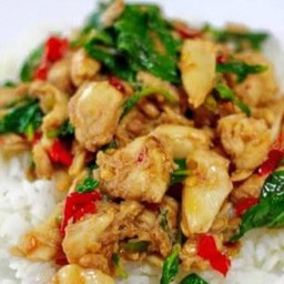 กระเพราไก่ราดข้าว