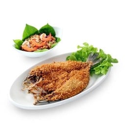 L ปลากระพงอกแตก