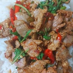 กะเพราเนื้อราดข้าว