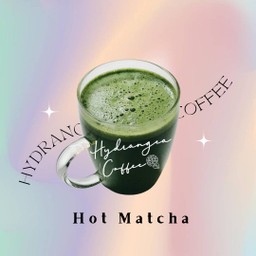 Matcha Clear - มัทฉะใสร้อน