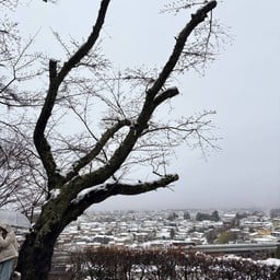 Arakurayama Sengen Park