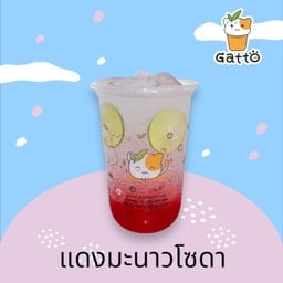 กัตโตะชา บขส.เทศบาลมหาสารคาม