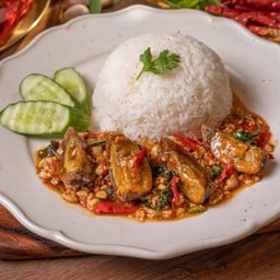 E4 ข้าวกระเพราไก่สับไข่เยี่ยวม้า