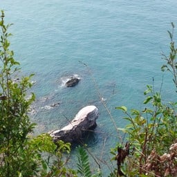 สิงโตหิน