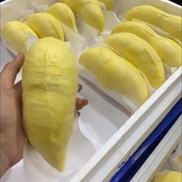 ทุเรียนหมอนทองแกะเนื้อ 500 กรัม เกรดพรีเมี่ยม