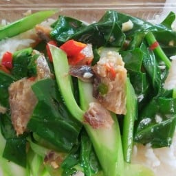 ผัดคะน้าปลาเค็มราดข้าว