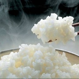 ข้าวญี่ปุ่น