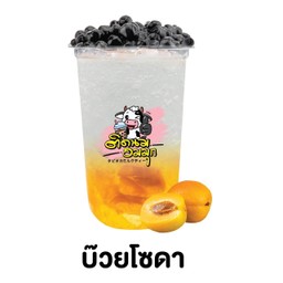 บ๊วยโซดา