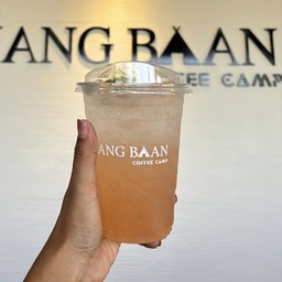 พีชโซดา