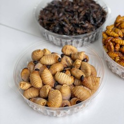 ด้วงสาคู