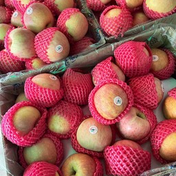 แอปเปิ้ล(ลูก)