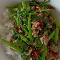 ผัดผักบุ้งหมูสับ-ราดข้าว