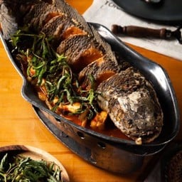 ปลาช่อนแป๊ะซะ