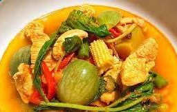 แกงป่าไก่
