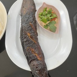 ปลาดุกย่าง