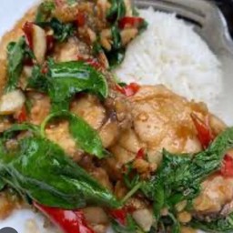 ข้าวผัดกระเพาปลาเก๋าราดข้าว