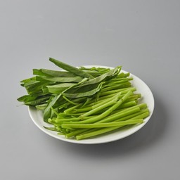 ผักบุ้ง