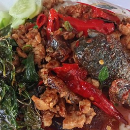ผัดกระเพาไข่เหยี่ยวม้า