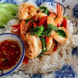 กระเพากุ้งราดข้าว