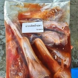 โรตี อินดี้