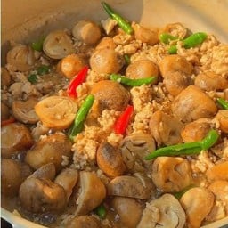 ข้าวราดเห็ดฟางผัดพริกขี้หนู