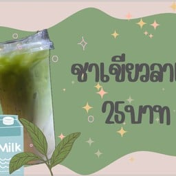 Milk  cat Bangtao
