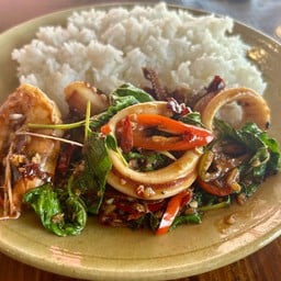 กระเพราทะเล