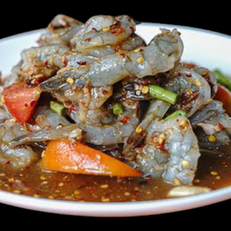 เหลากุ้งสด