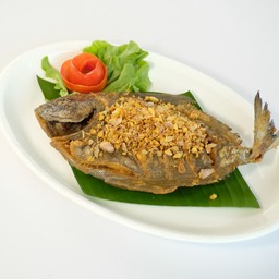 ปลาจารเม็ดทอดกระเทียม