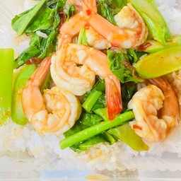 ข้าวราดคะน้ากุ้ง