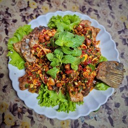 ปลากระพงลุยสวน