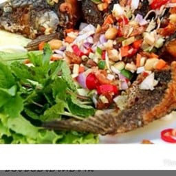 ปลาช่อนสดๆๆตัวใหญ่. คลุกเคล้าด้วยสมุนไพร ตะไคร้. ขิงอ่อน มะนาว กุ้งแห้ง. หอมแดง. พริกขี้หนูสวย. ปรุงด้วยน้ำยำ. 3 รส เปรี้ยว หวาน เค็มนิดๆๆ