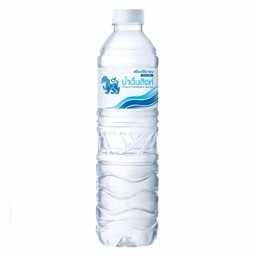 น้ำดื่ม สิงห์ 600 มล.