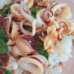 ข้าวกระเพราหมึก