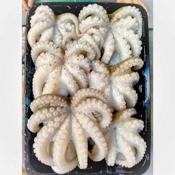 หนวดปลาหมึกสาย (Squid tentacles)