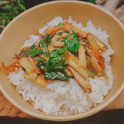 ข้าวกะเพราปู