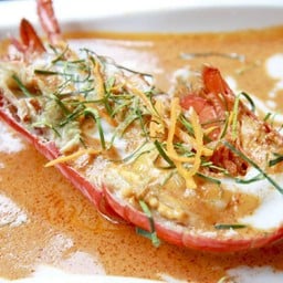 Lobster Panang with Bulgogi Stroganoff over Thai Fermented Rice Noodles ขนมจีนล็อบสเตอร์พะแนงบลูโกกิสโตรกานอฟ