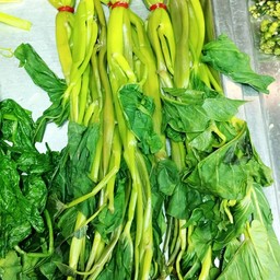 ผักบุ้งต้ม ชุดละ 1 มัด