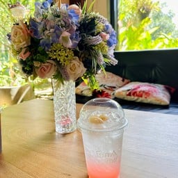 Yok Noi Coffee Camp โยคน้อย