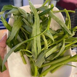 ผักบุ้ง