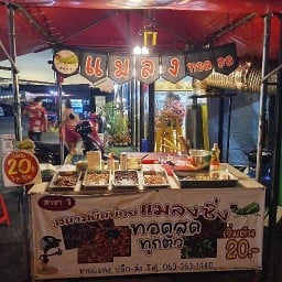 สนามบินย่อย แมลงซิ่ง ดอนเมือง แมลงทอด ตลาดข้างวัดเทพ