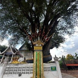 วัดโพธิ์ เขมราฐ
