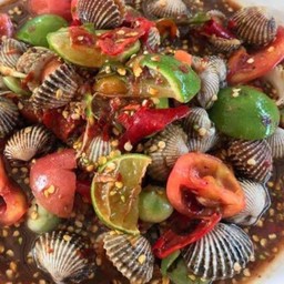 เหลาหอยแครง