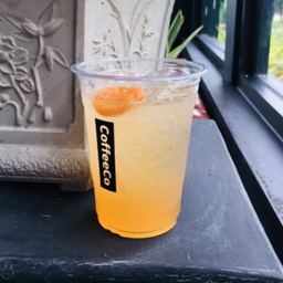 แจแปนนิส พลัม (22 ZO)